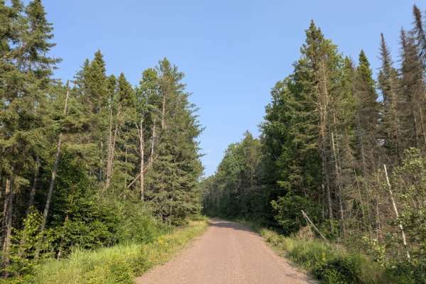 Two Moose Trail