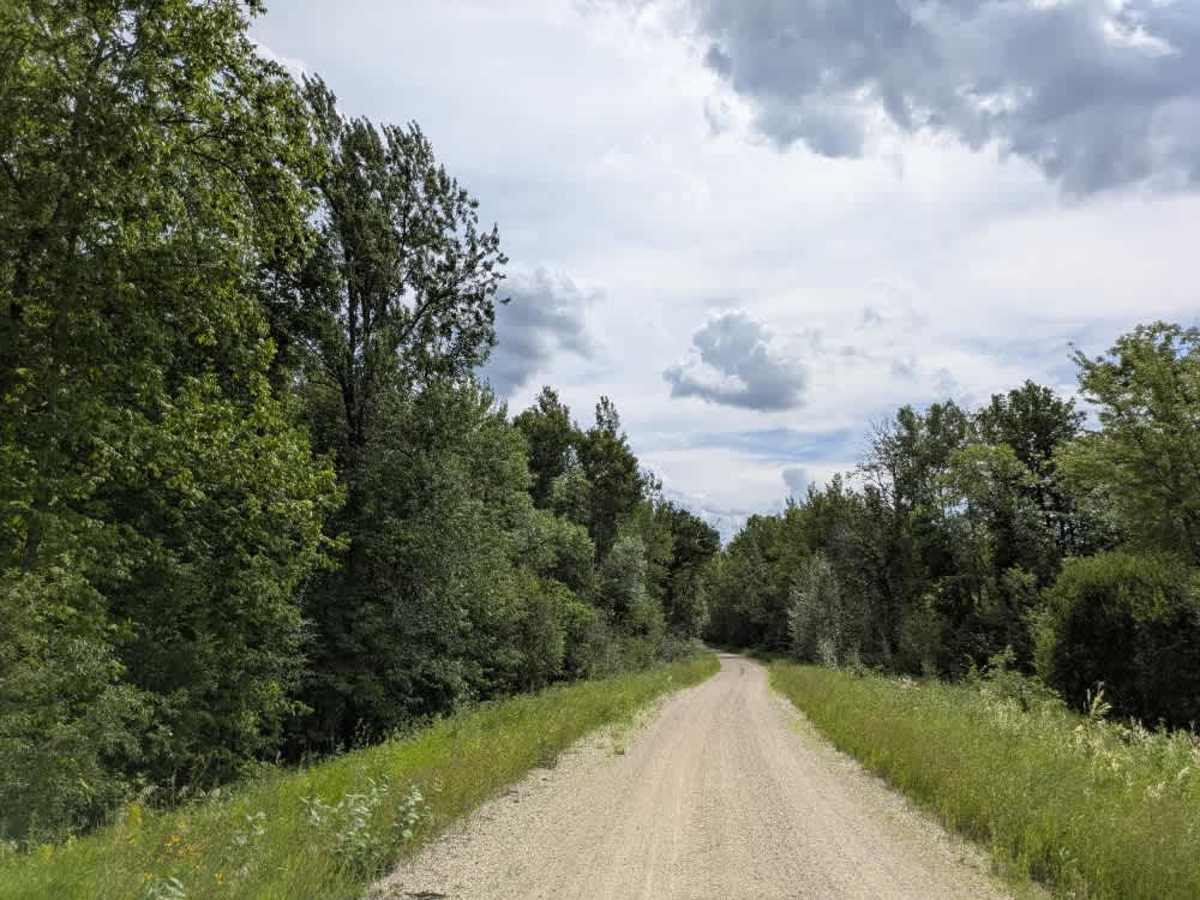 Pitt Grade Forest Trail photo 6
