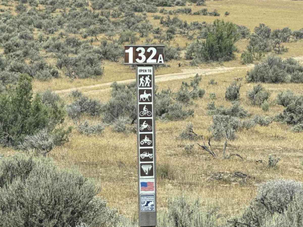 BLM 132A photo 2