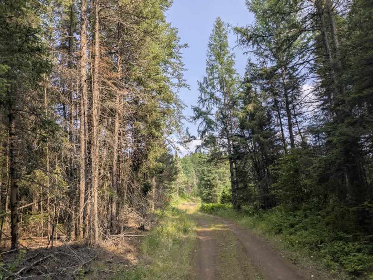 Plum Lake photo 4