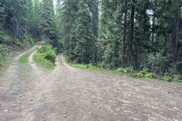 4W-7736 - Big Flat Trail