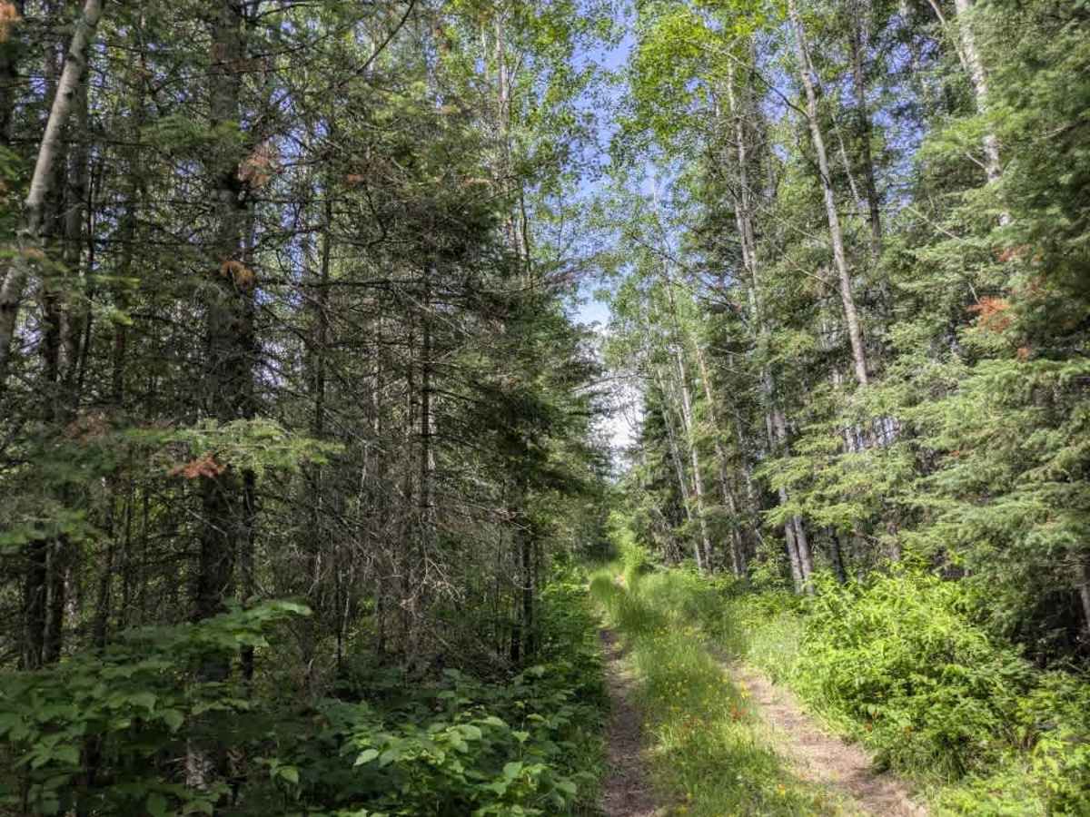 Camp 26 Truck Trail photo 4