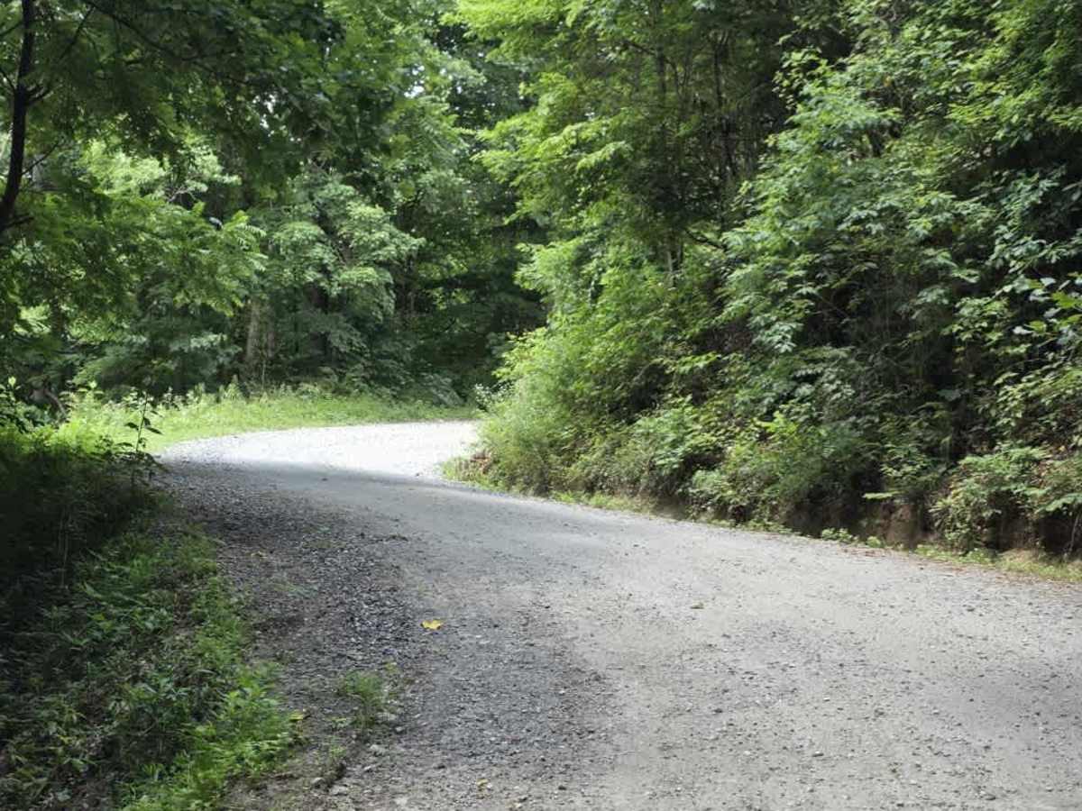 Little Creek Road photo 3