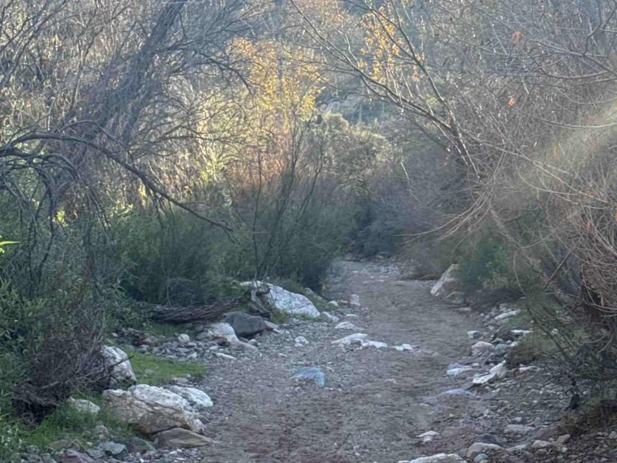 Picacho Wash  photo 6