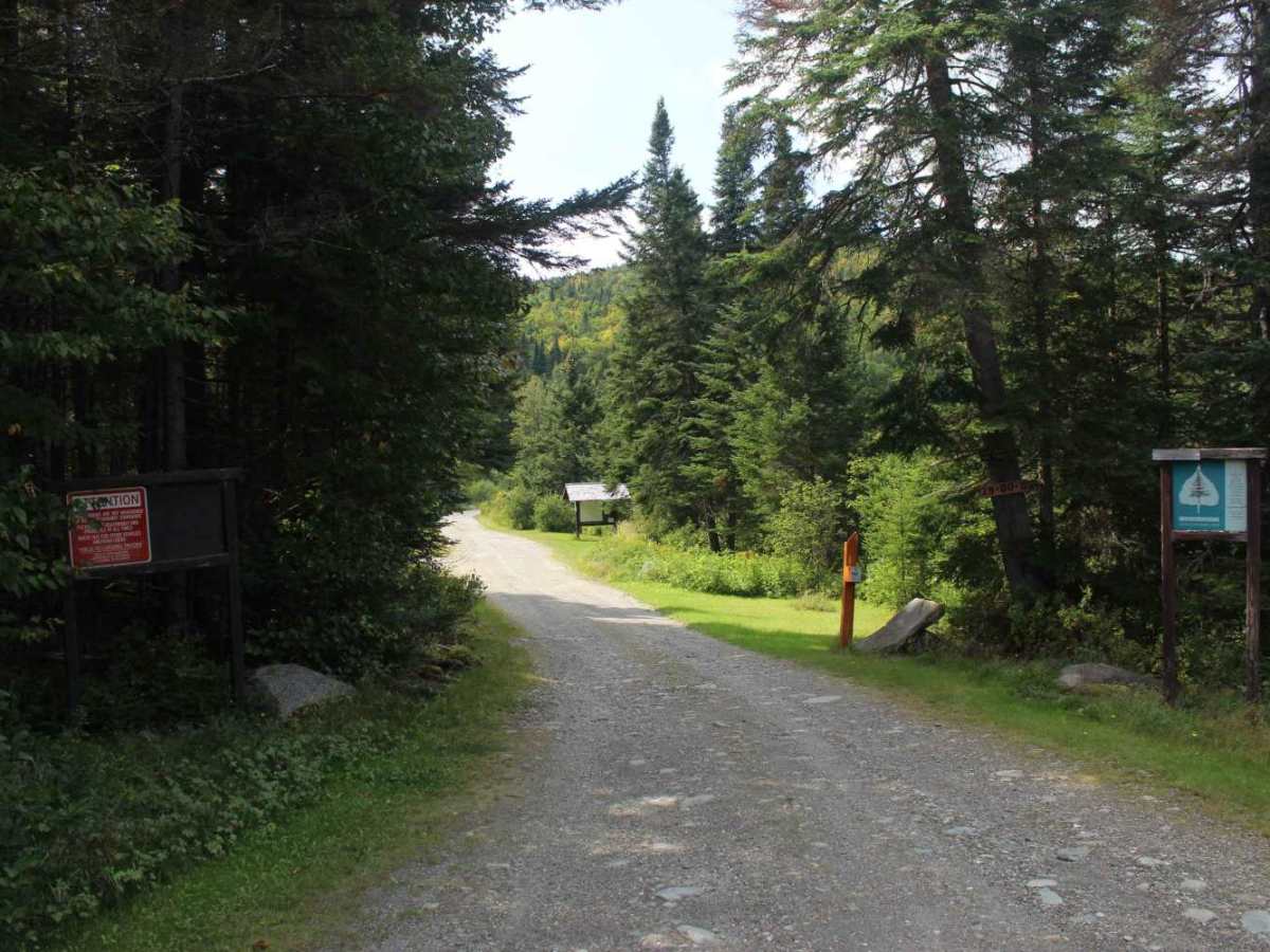 Sophie's Lane trail photo