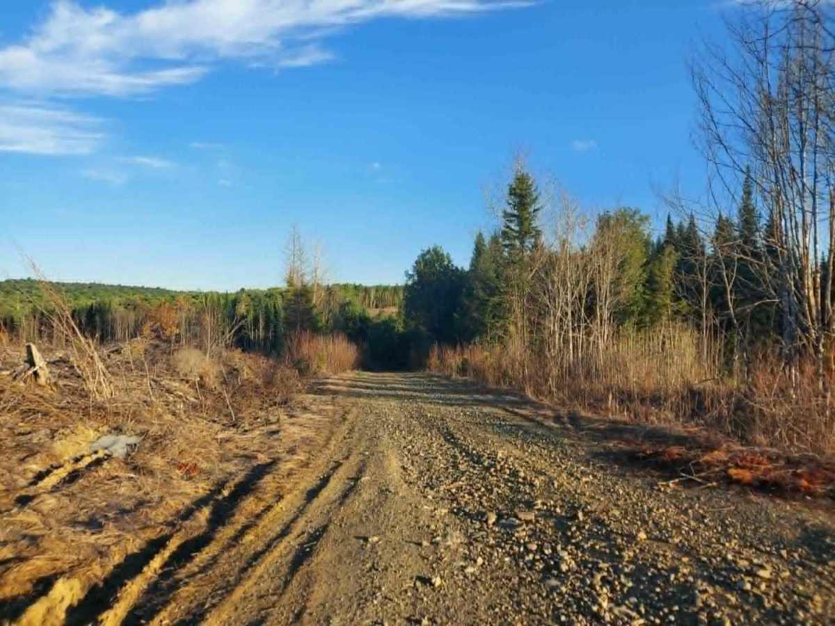 Carlisle Brook Trail trail photo