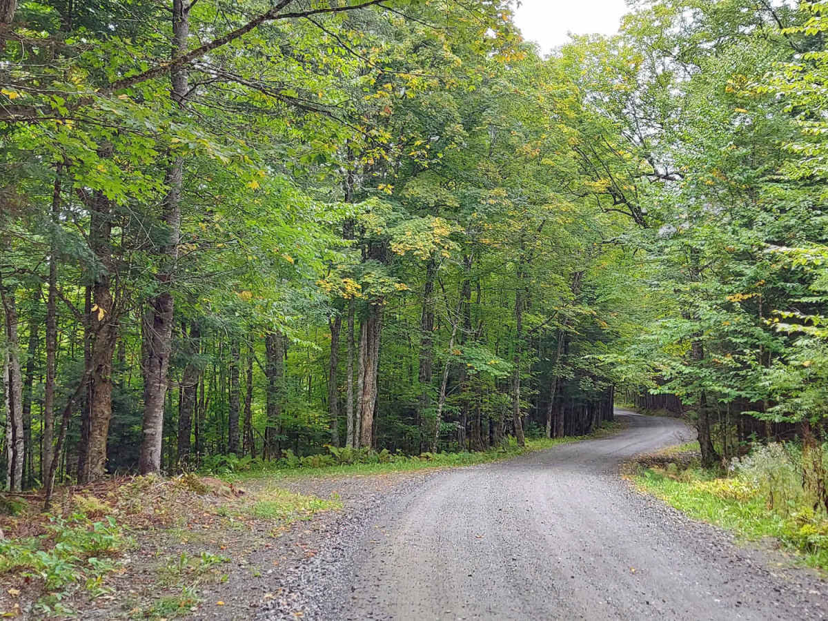 Philbrook Drive photo 4