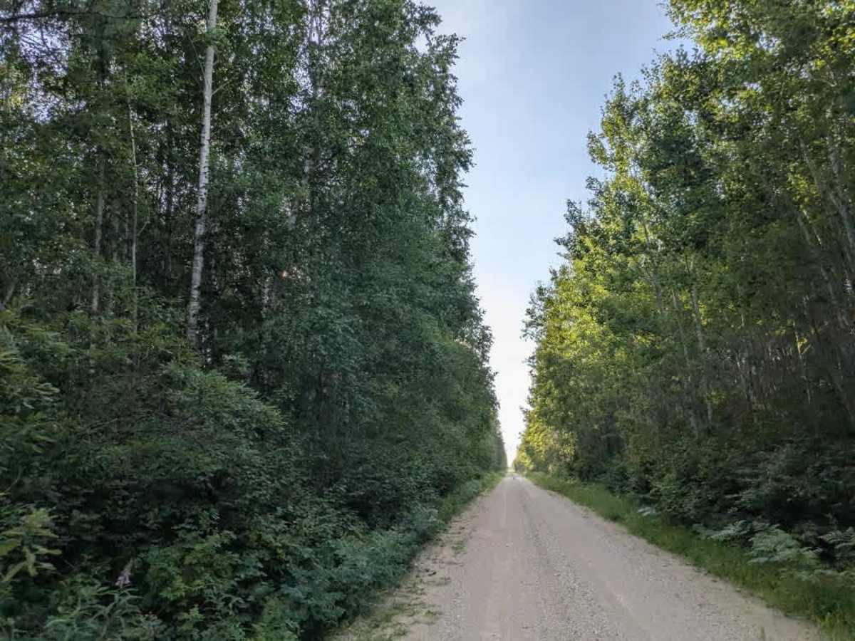 Stoney Corners Trail photo 2