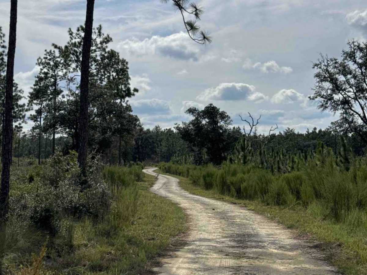 Quail Road photo 5