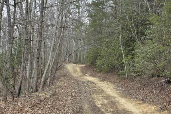 Upper Briar Creek Spur - FS 4354A