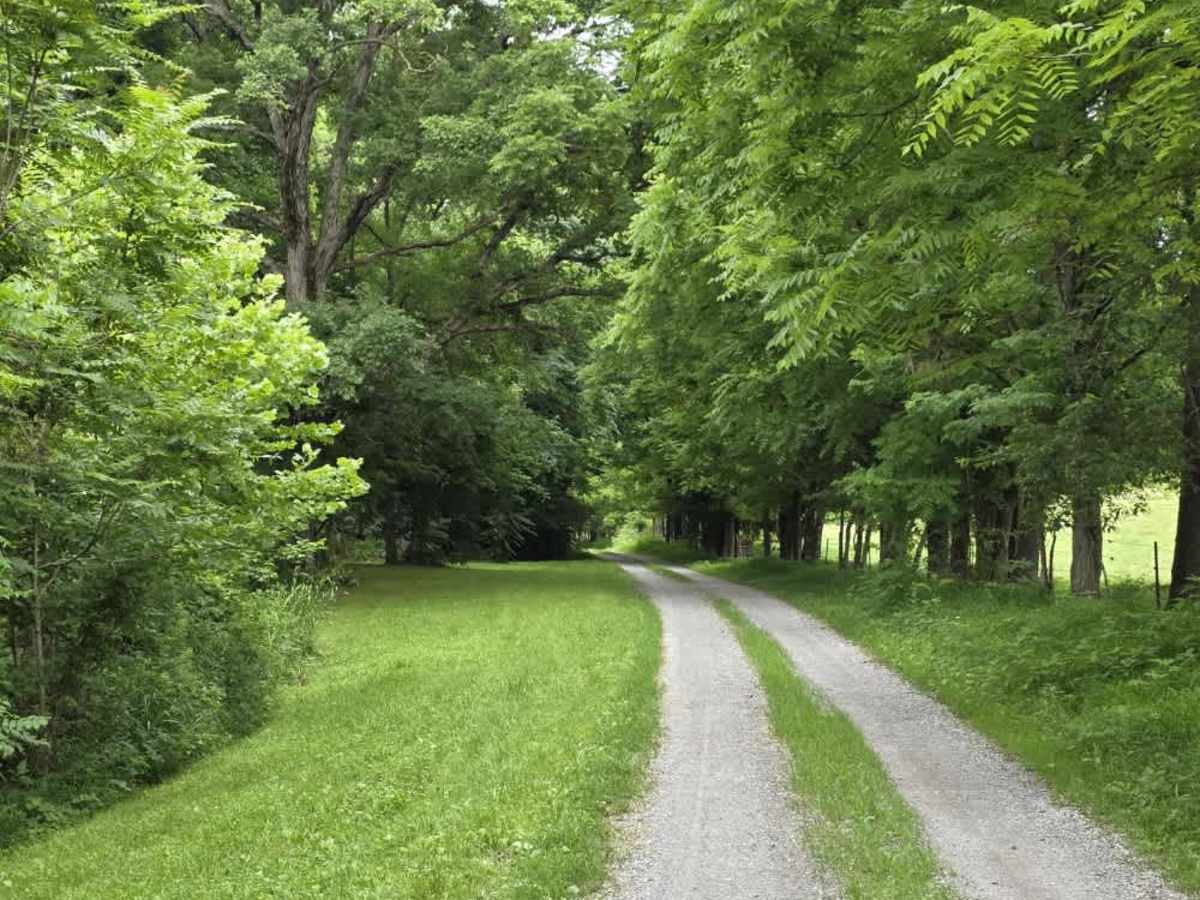 Wix Hollow Road - Macon County Tour trail photo