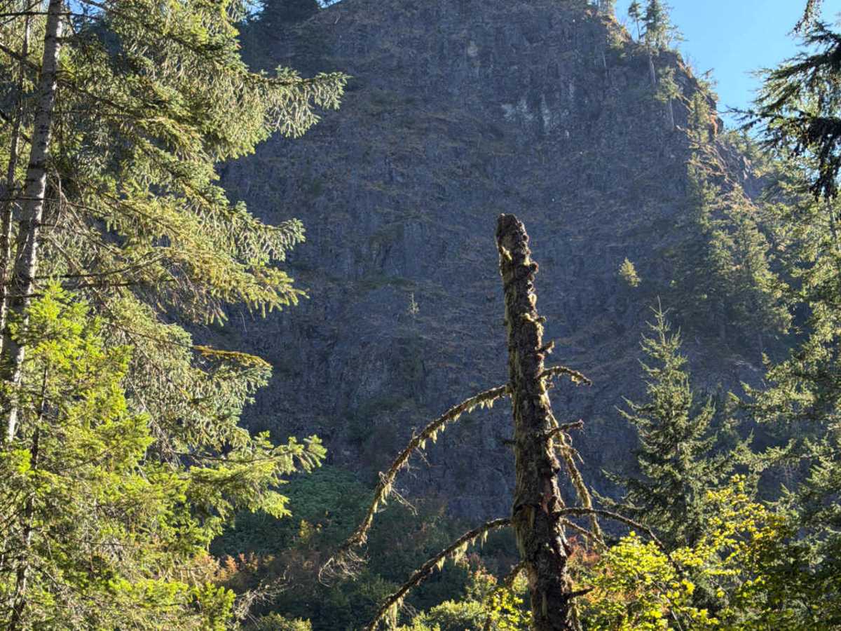 Upper Neal Creek Road trail photo
