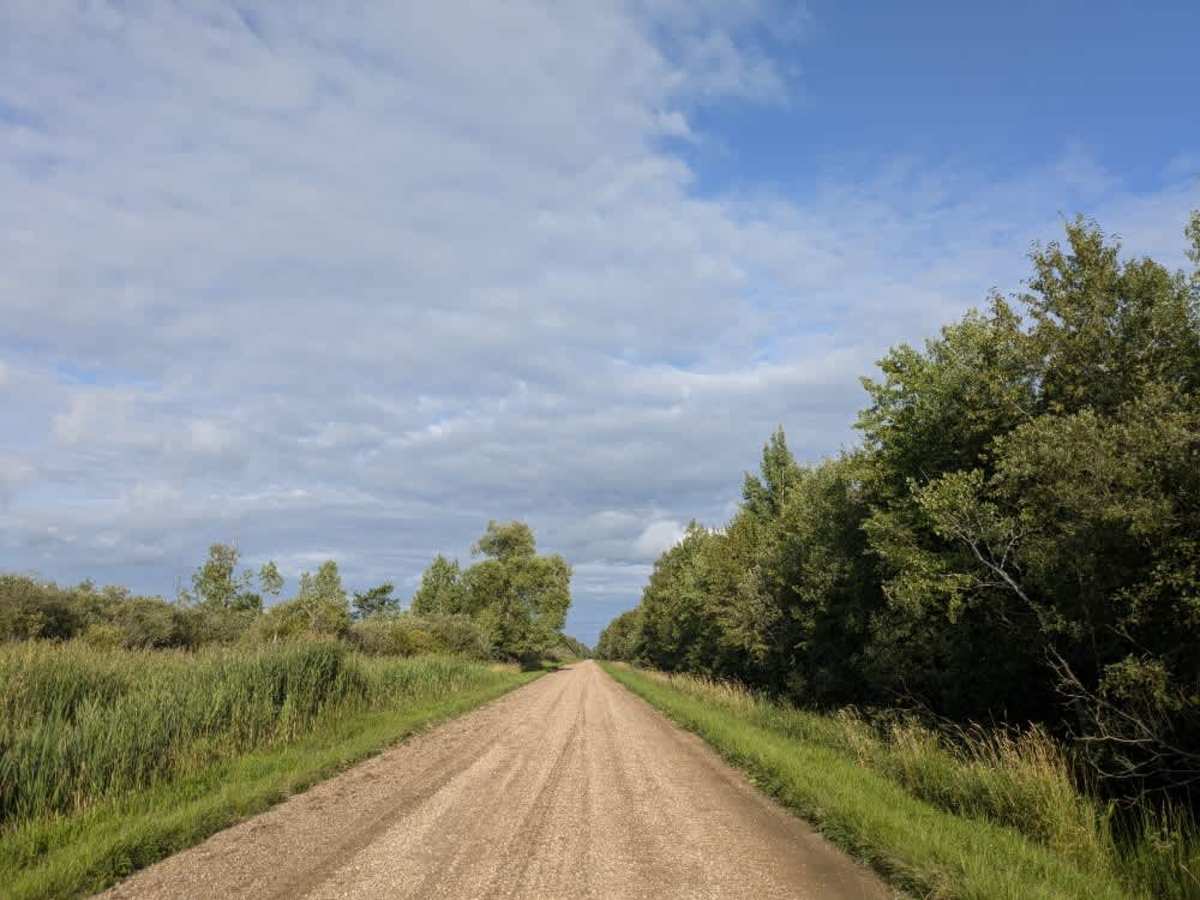 Wapiti Road NW photo 3