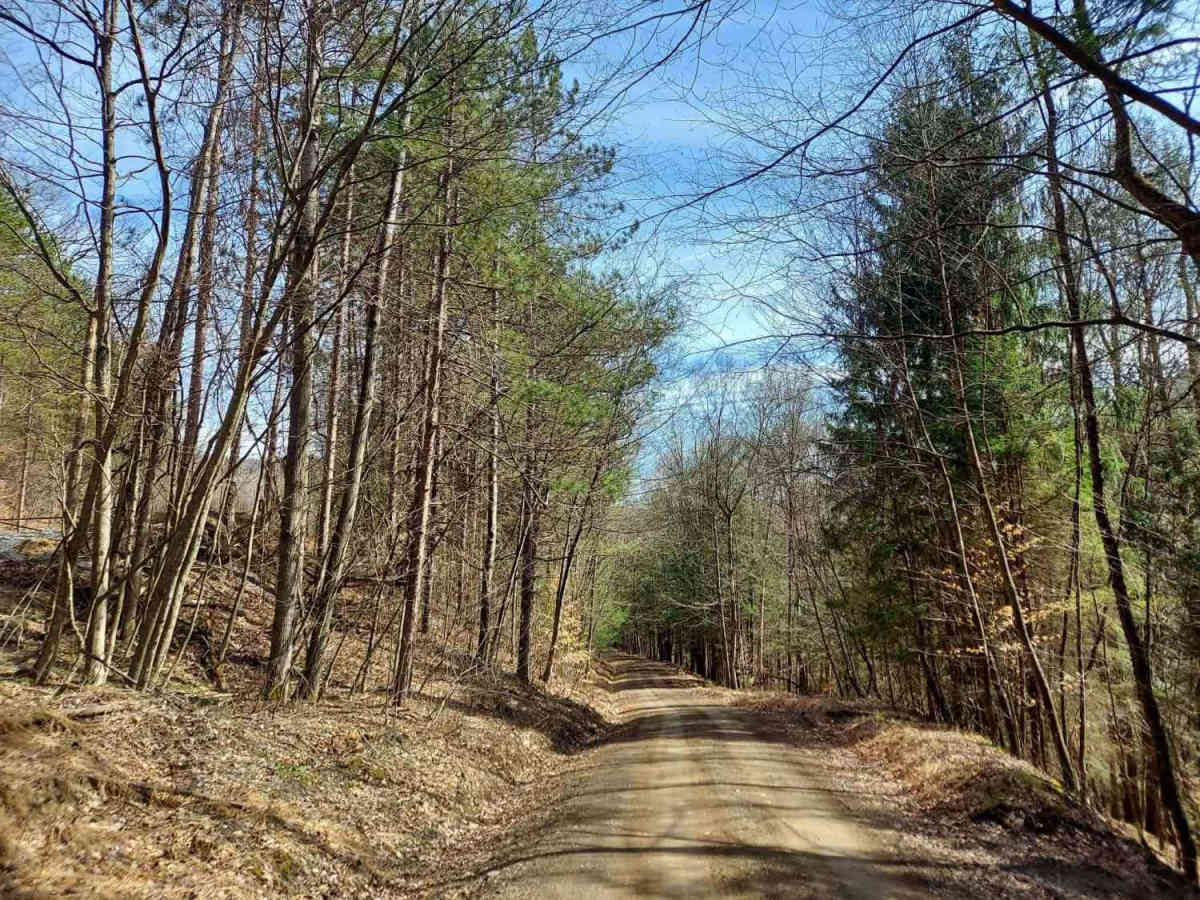 Smith Hill Road photo 4