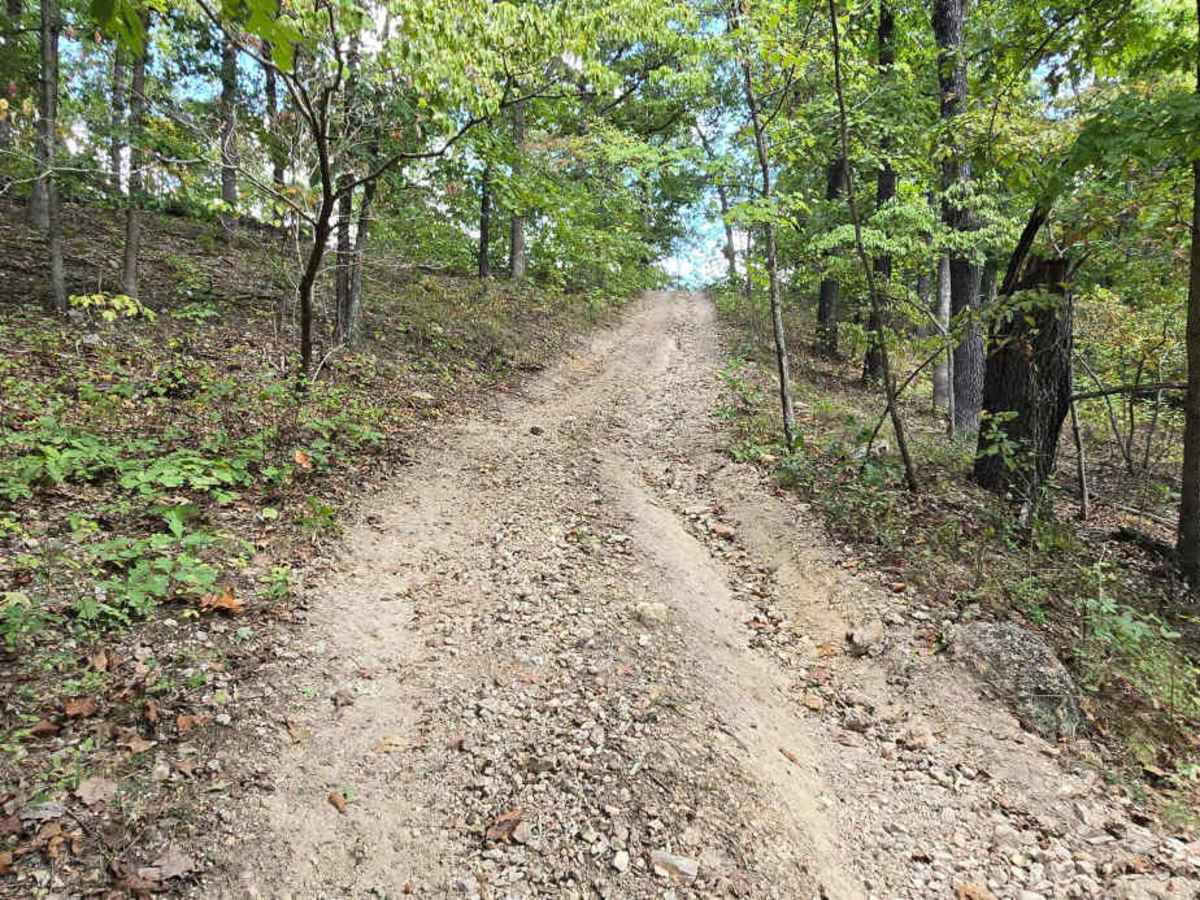 Chigger Lane photo 2