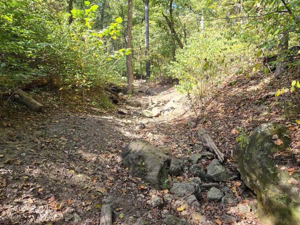 Trail Mix photo 2