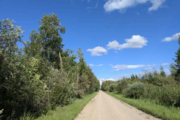 County Road 126