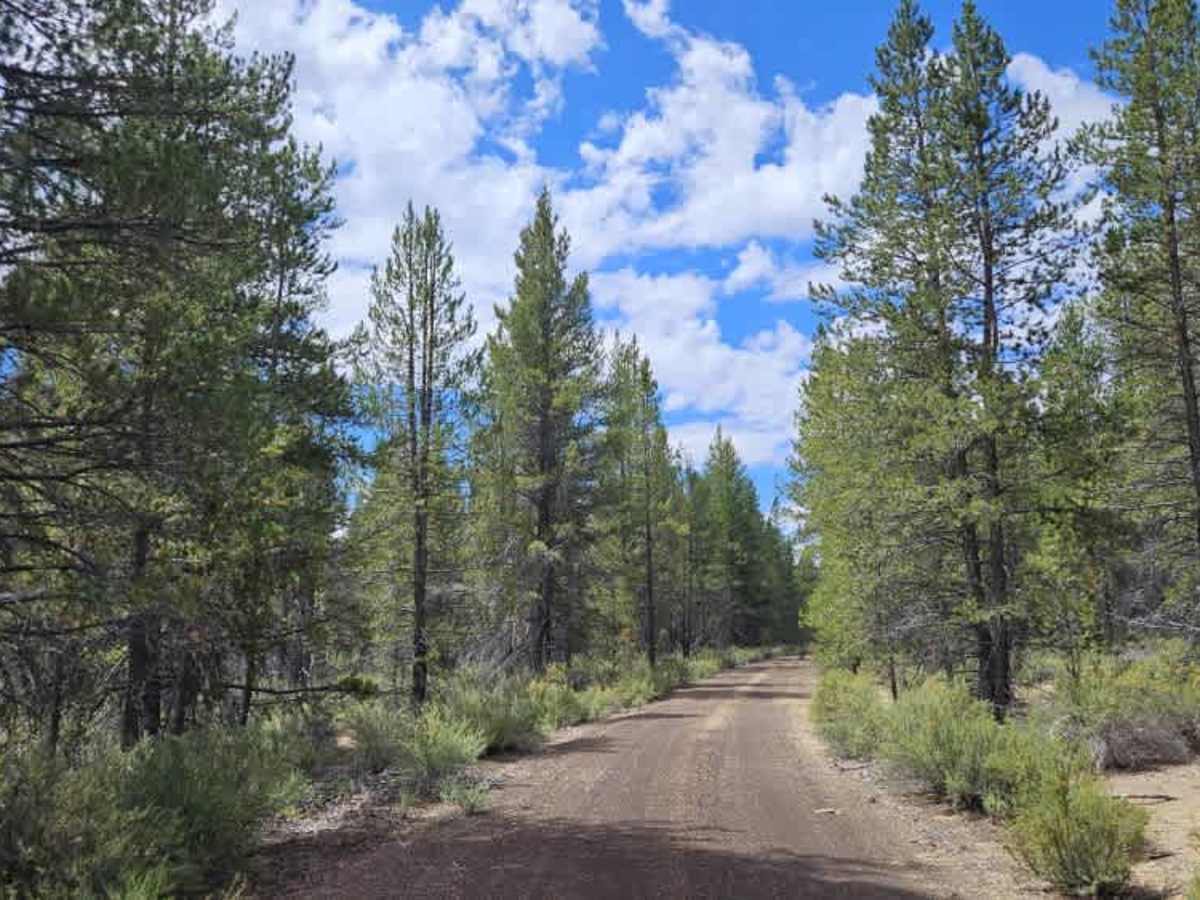 Skellock Draw - FS 4900160 trail photo