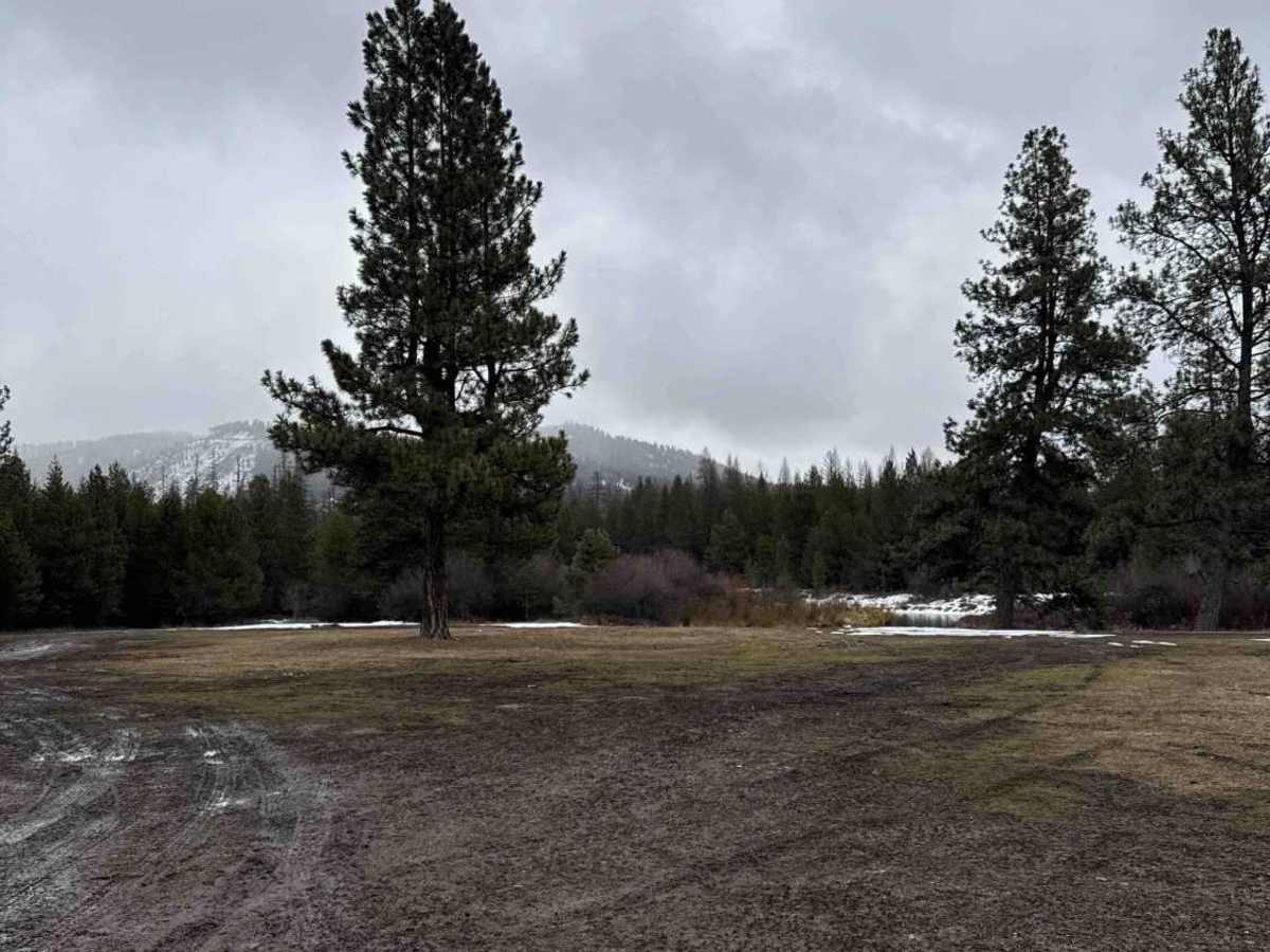 Thompson River Road photo 4