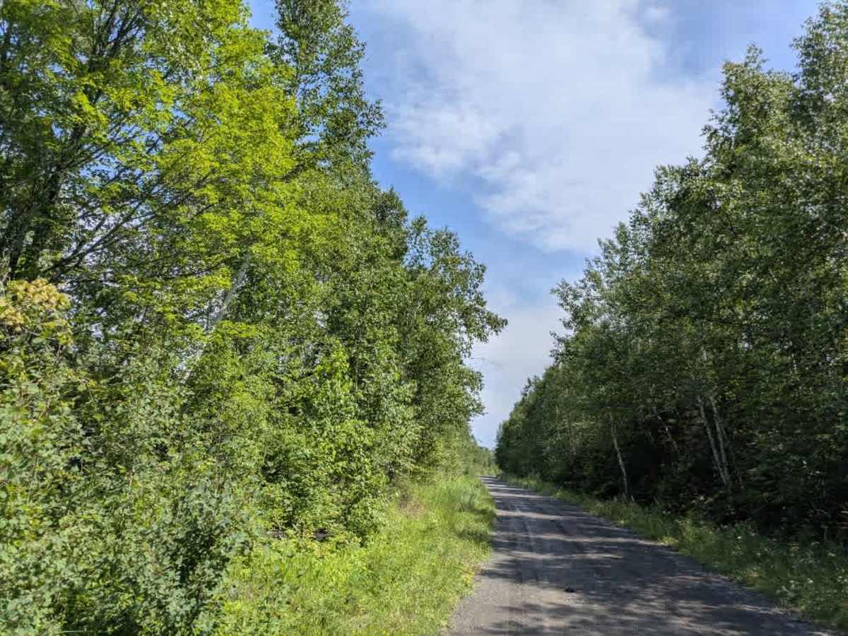 Shoe Lake Road photo 6