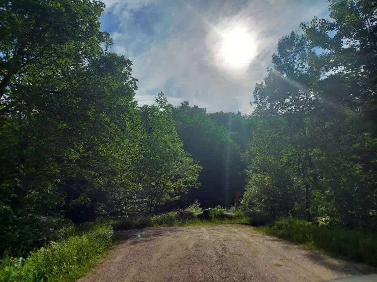 Old Job Road  photo 5
