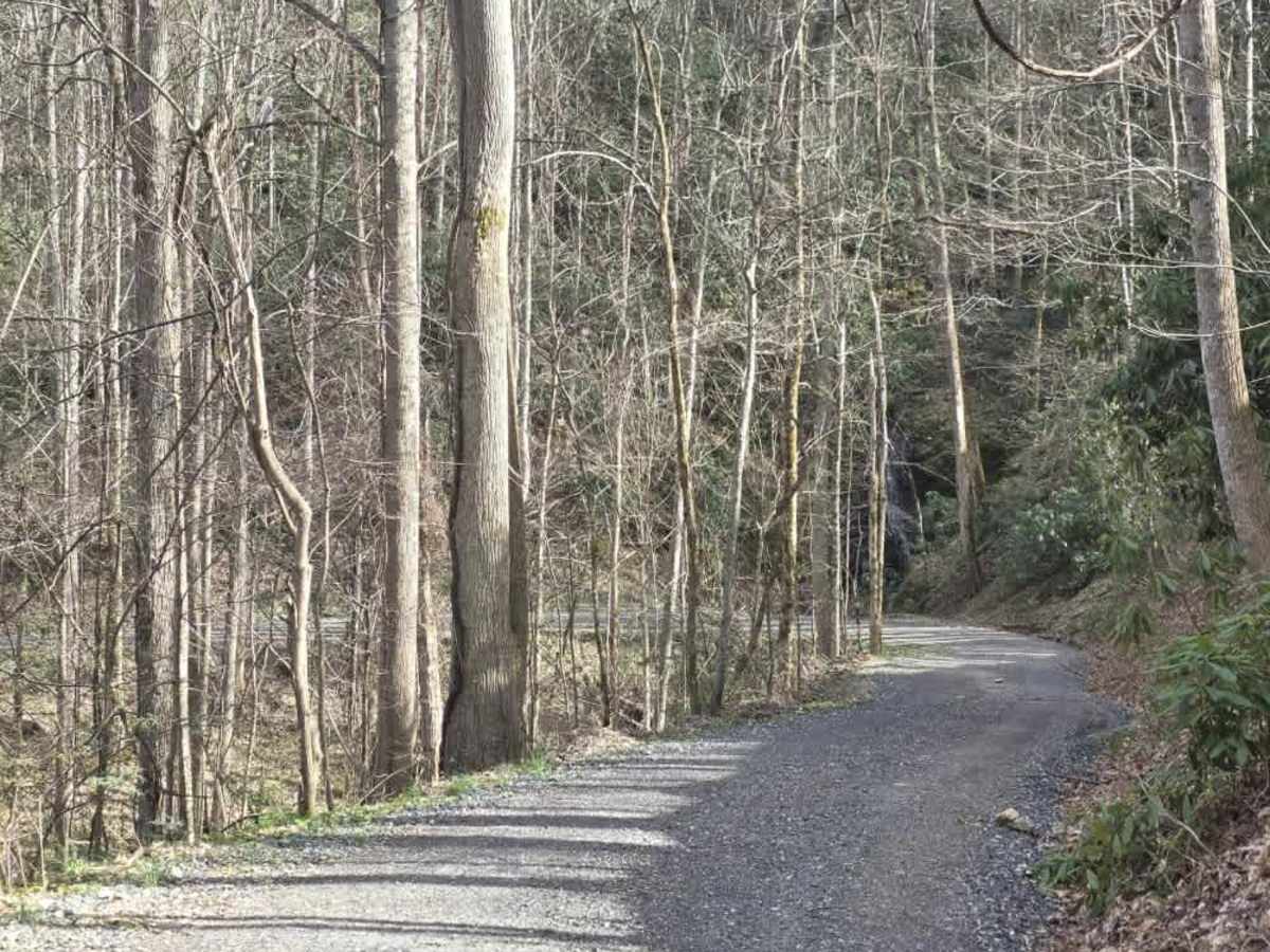 Sugarloaf Mountain Road photo 6