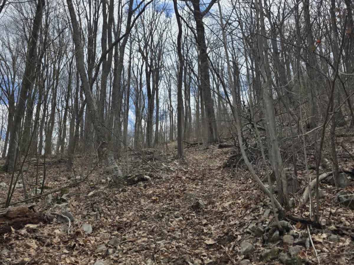 Wheeler Spur photo 5