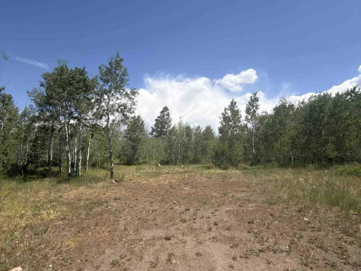 Fox Loop - BLM 2758 photo 5