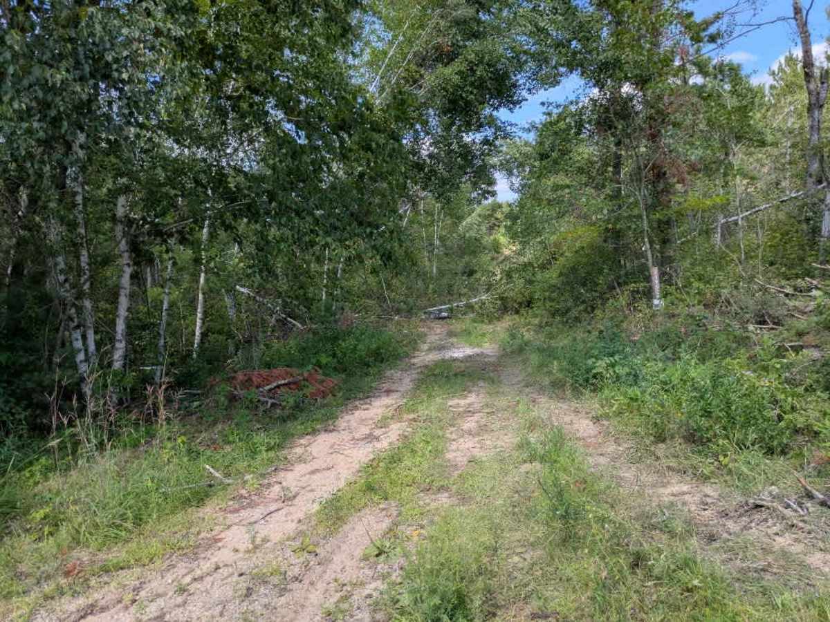 Andrusia Road Northeast photo 4