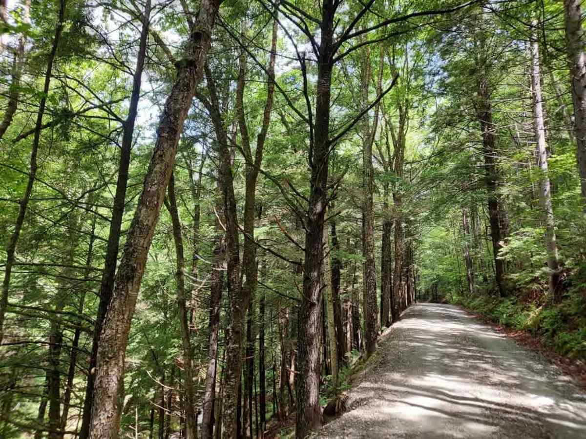 Bridgewater Hollow Road photo 2
