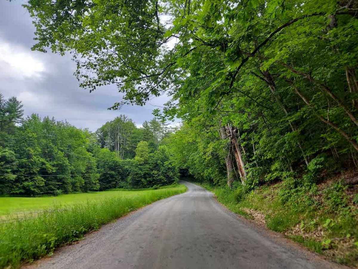 White Brook Road photo 2