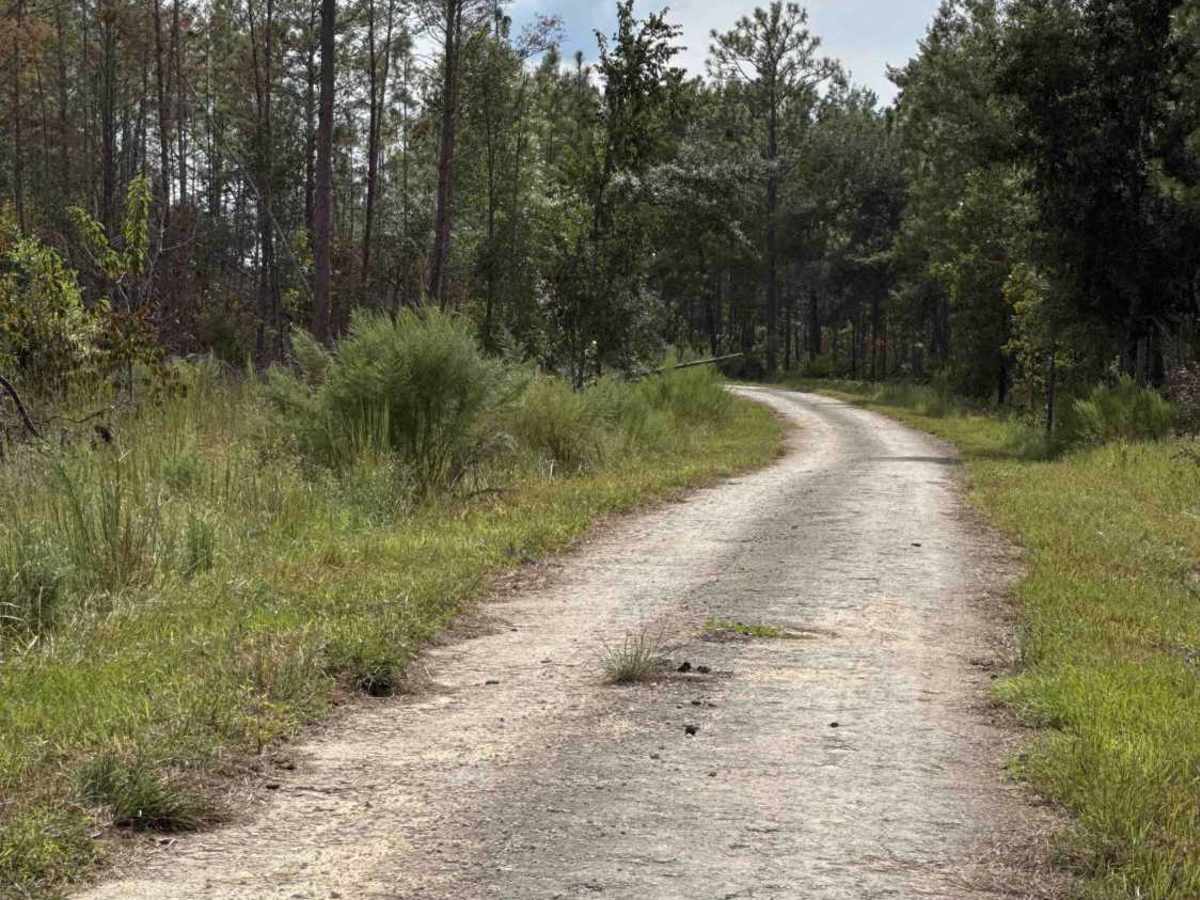 Quail Road photo 3