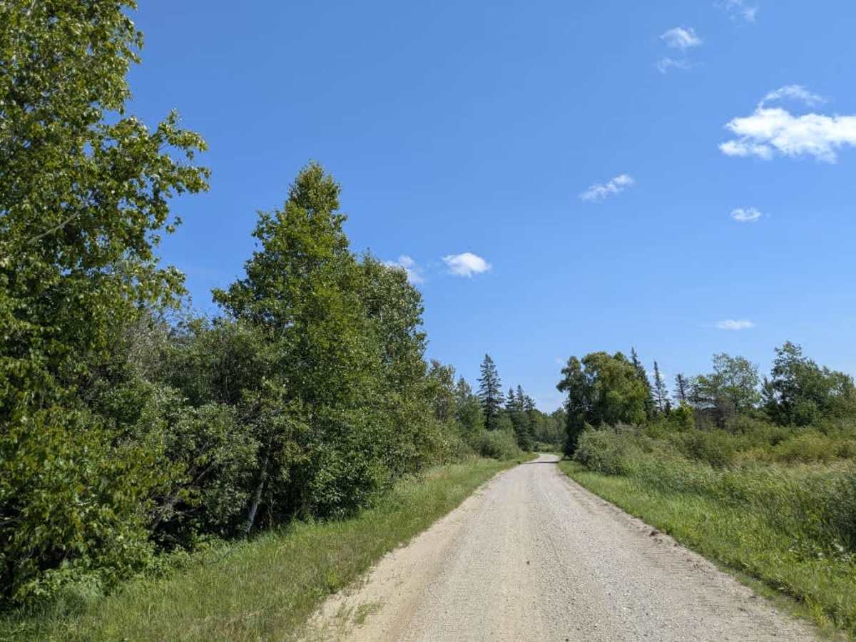 Roosevelt Road trail photo