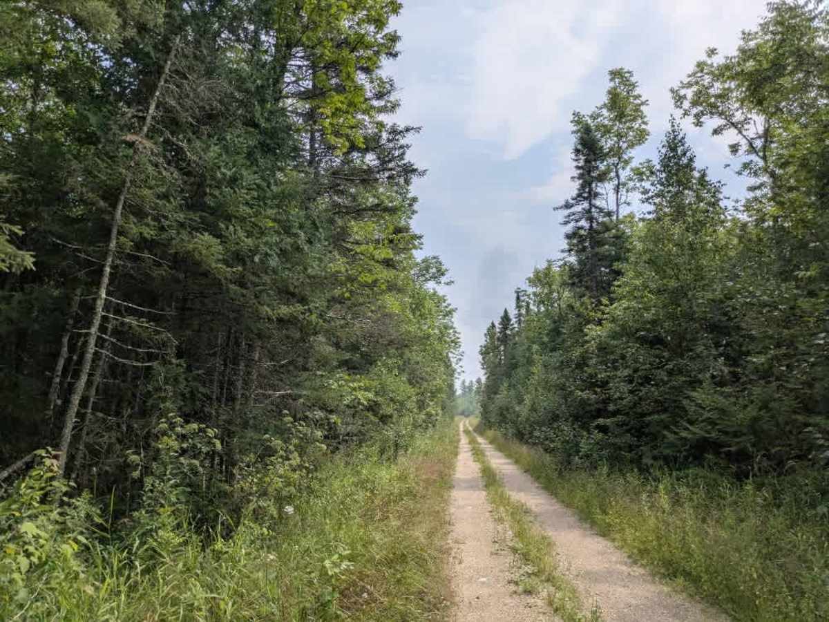 Cutacross Road photo 4