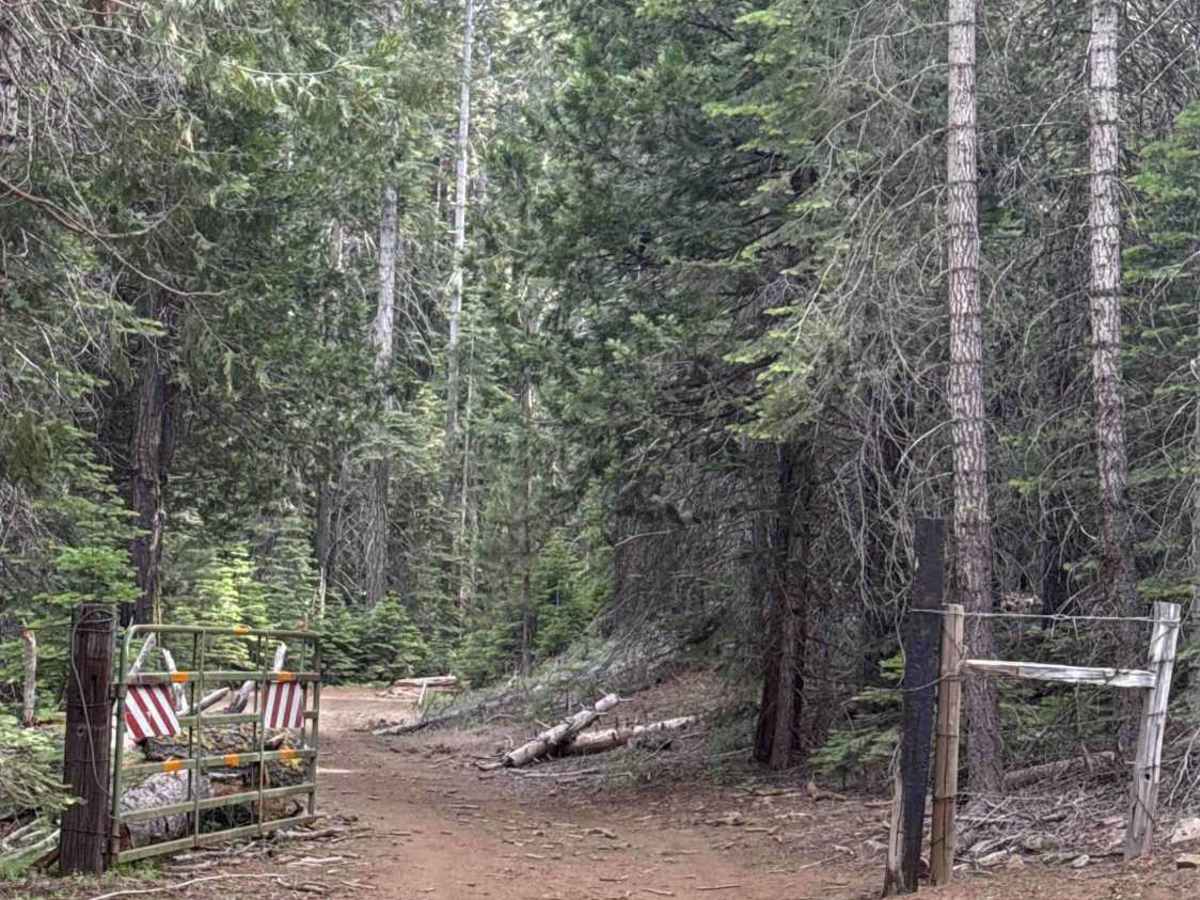 FS 3N39Y trail photo