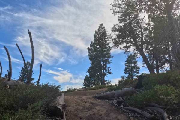 Ten Mile Grade C Spur - FS 4S004C