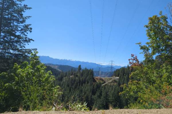 Van Creek Road