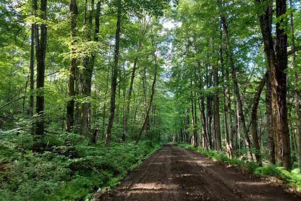 Long Hill Road