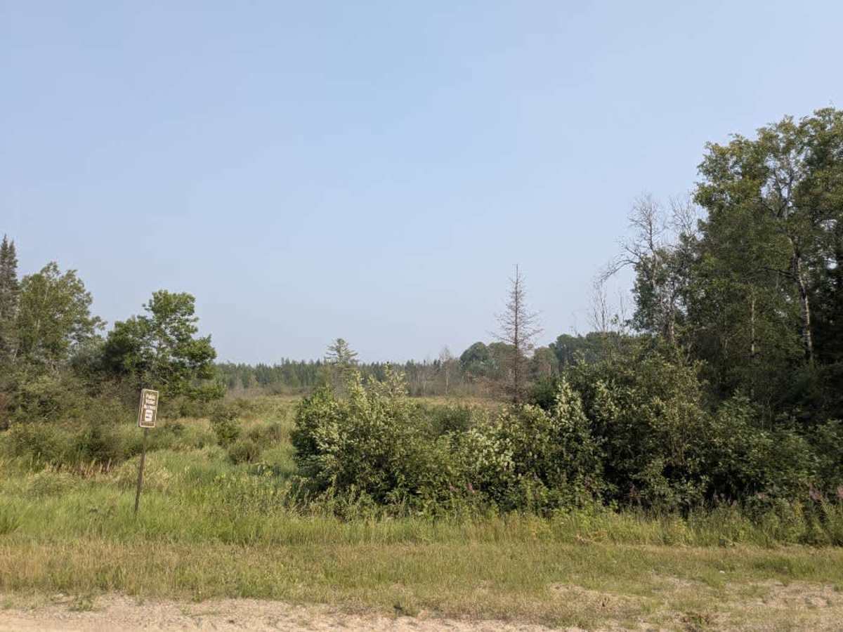 Crane Lake Road photo 6