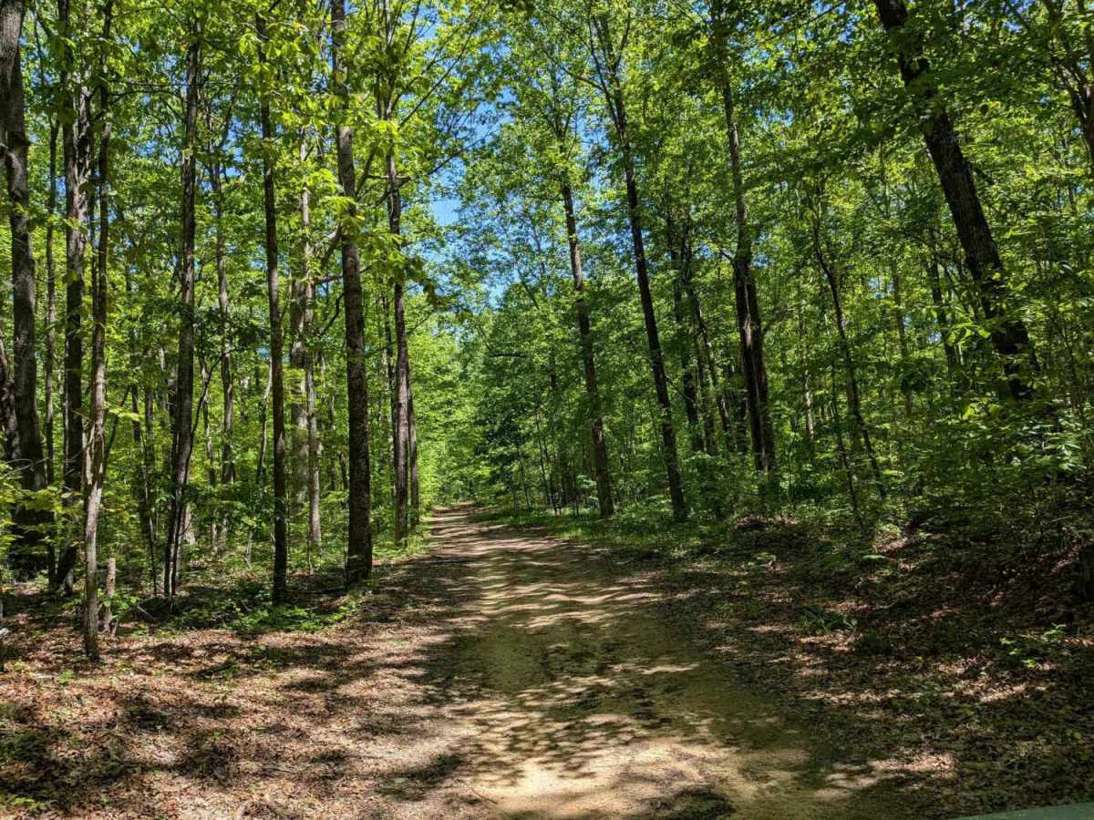 Turnpike Road trail photo