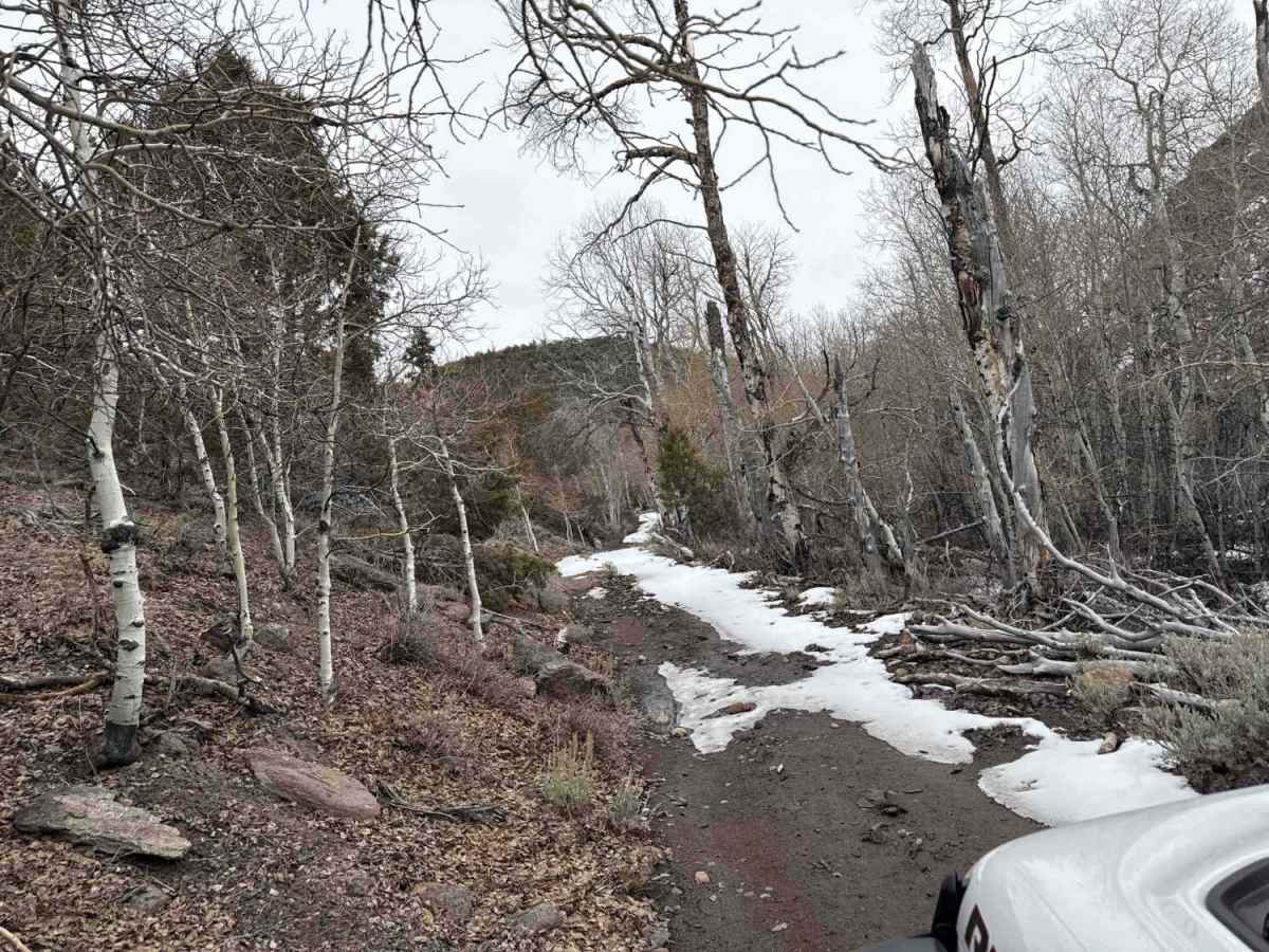 Campbell & Smith Creek Jeep Trail photo 6