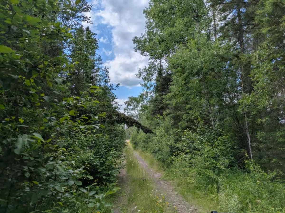 Forest Service Road 406 photo 6