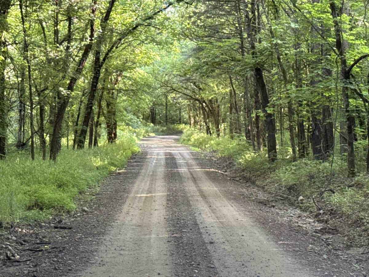 Cove Creek Road photo 2