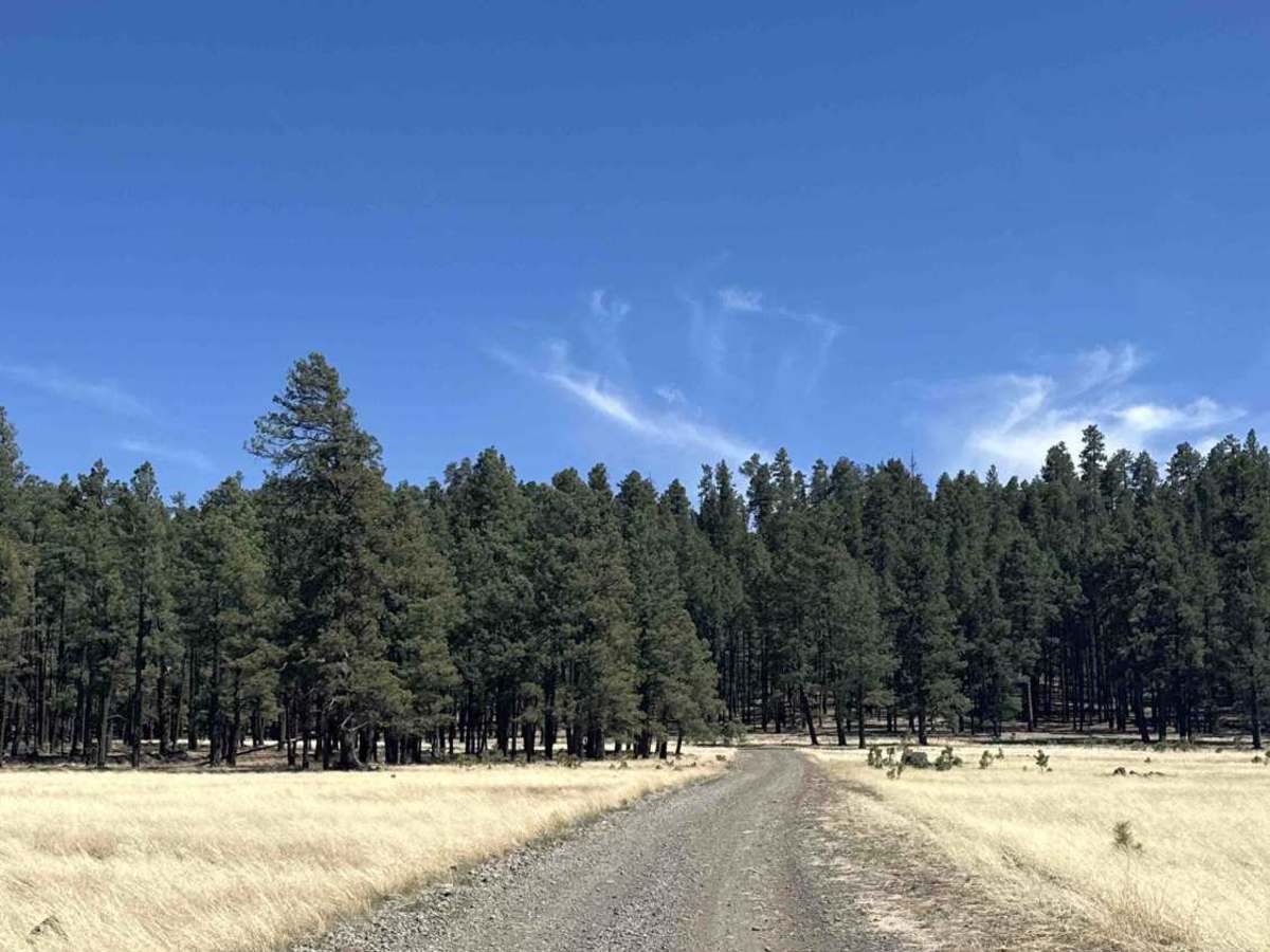 FS 25H trail photo
