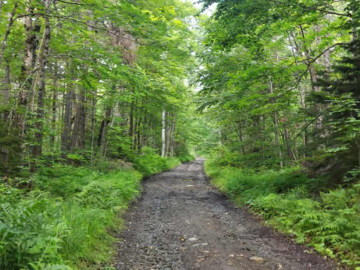 Long Hill Road photo 5