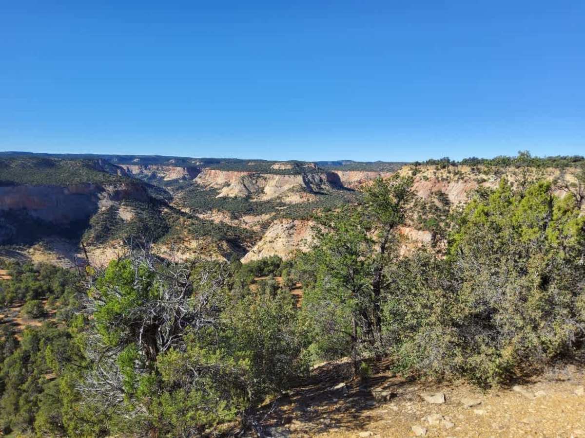 BLM 73P photo 2