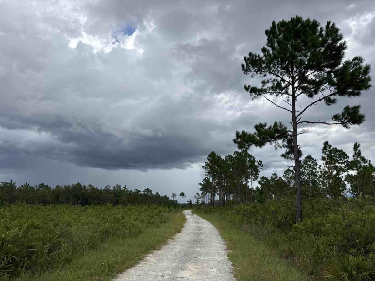 East V Road trail photo
