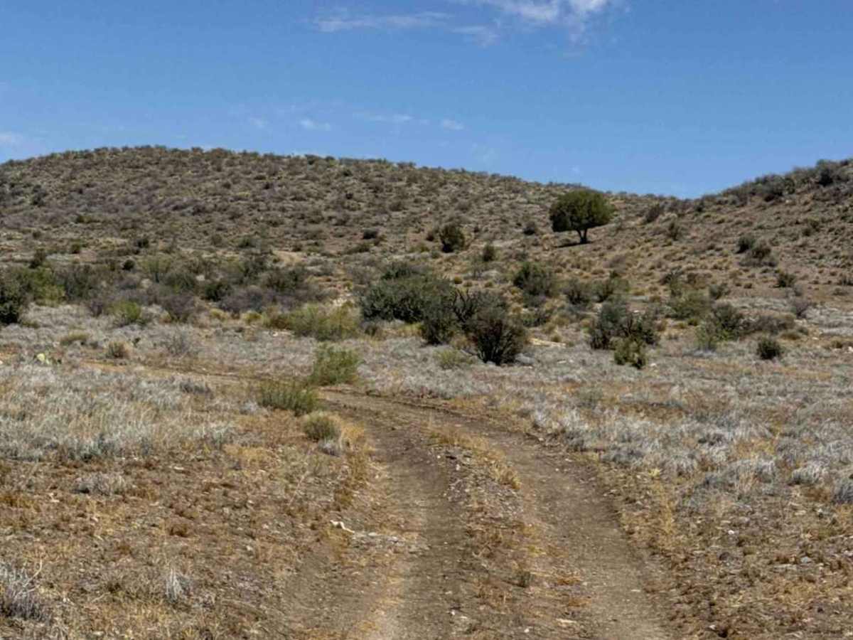 BLM 50016 photo 2