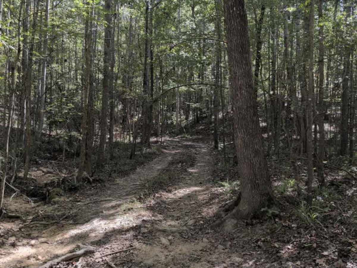 #140 Ed's Ledge photo 2