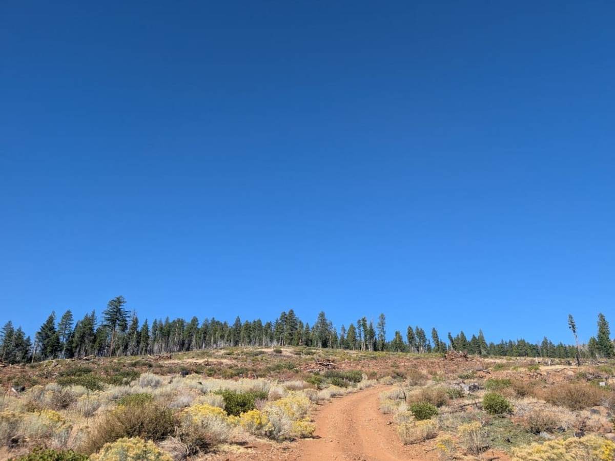 FS 33N21B, California | Off-Road Trail Maps, Difficulty, Trail Status ...